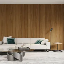 Revestimiento-FAUS-Cover-Olmo-Sukil-AMB